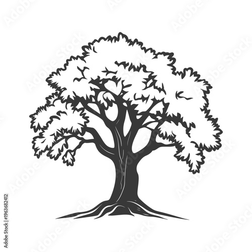 A detailed black and white illustration depicting a full grown tree