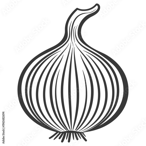A black and white line drawing of a bulbous onion