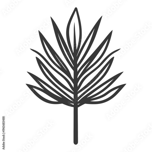 A detailed black and white illustration depicting a palm leaf