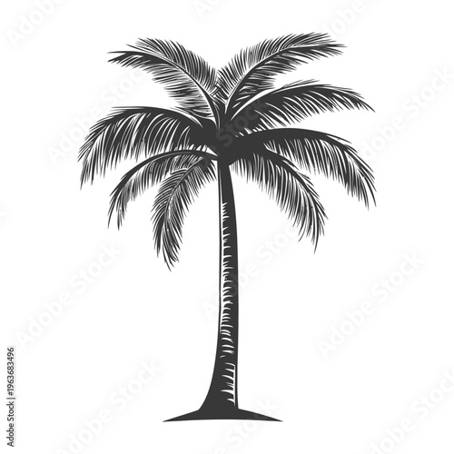 A detailed illustration depicting a tall solitary tropical palm tree