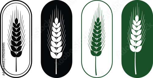 Wheat icon. Durum wheat pasta label. Bakery logo. Healthy nourishment illustration. Cereal pictogram. Gluten sign.