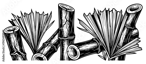 Decorative hand drawn bamboo stalks and dried palm leaves composition