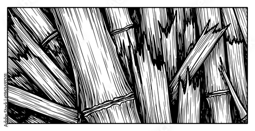 Artistic vintage engraving of a textured background composed of broken bamboo stalks and wooden splinters