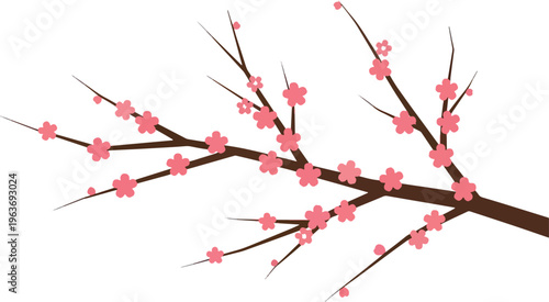 Cherry blossom branches with pink flowers blooming in springtime nature awakening and delicate beauty decorative element.