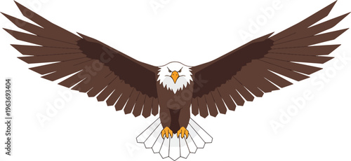 Majestic bald eagle flying with wide spread wings and sharp talons front view powerful predator bird symbol of freedom and strength vector graphics.