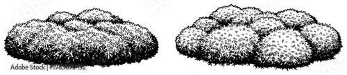 Two detailed black and white textured bushes or grass shrub clusters for landscape design
