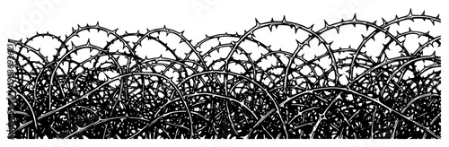 Dense thicket of thorny brambles and briar branches in detailed black and white silhouette style