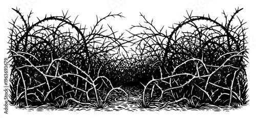 Detailed hand drawn thorny bush thicket and tangled prickly bramble hedge