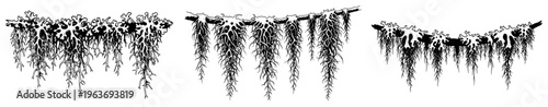 Collection of hand drawn hanging root systems and moss textures in classic ink style