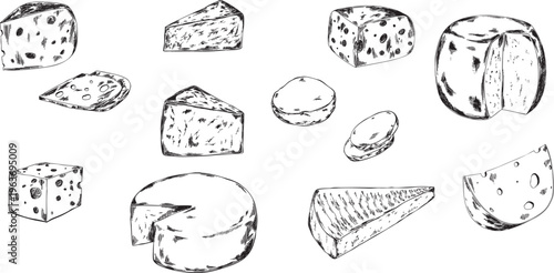 Vintage line art illustrations featuring various types of cheese: brie, camembert, cheddar, gouda, parmesan, and blue cheese. Perfect for gourmet branding, menus, packaging, and dairy-related design.