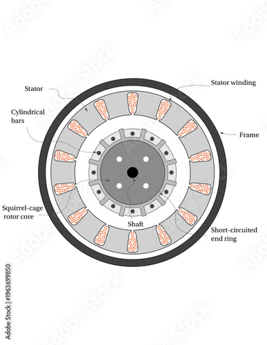 Squirrel cage induction motor cross-section diagram with stator and rotor components