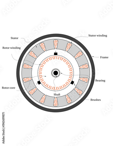 Wound-rotor induction motor cross-section diagram with brushes and windings