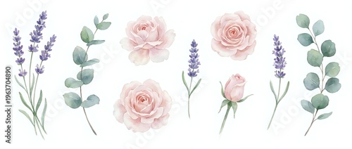 Watercolor floral elements set with pink roses, lavender sprigs and eucalyptus branches isolated on transparent background for wedding invitations and crafts.