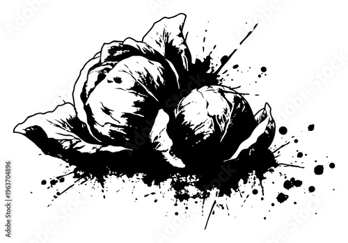 Fresh cabbage vegetable heads illustrated with expressive black ink and messy splatters