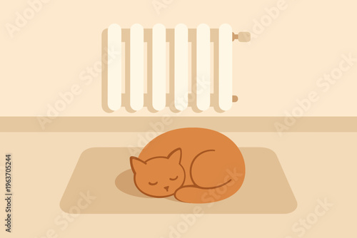 Cozy orange cat curled up sleeping peacefully near a warm radiator