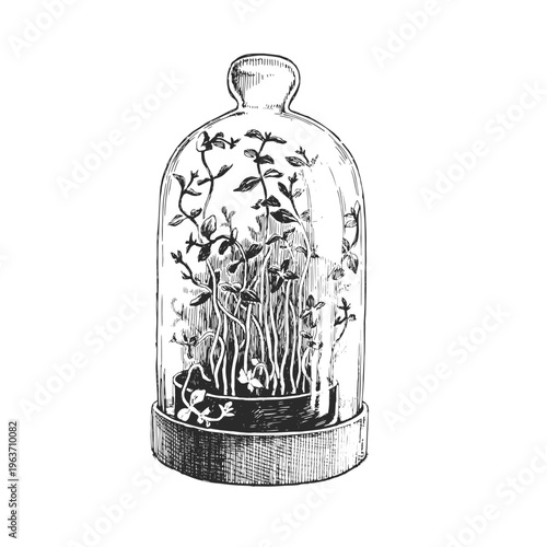 Vintage Glass Cloche Overgrown Seedlings Bell Jar Vector Hand Drawn Botanical Ink Sketch Terrarium Microgreens Abandoned Greenhouse