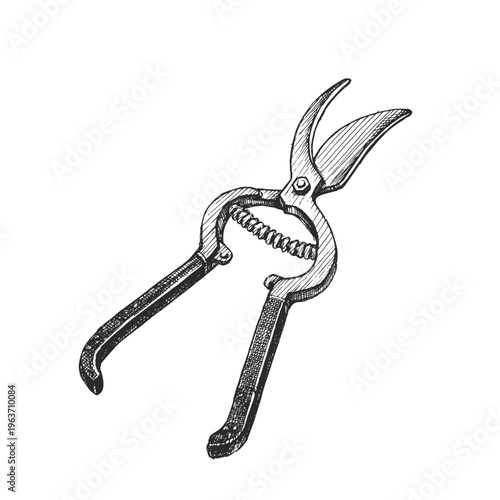 Vintage Garden Pruners Vector Hand Drawn Cast Iron Shears Sketch Antique Rusty Tool Top View Abandoned Greenhouse Hardware.