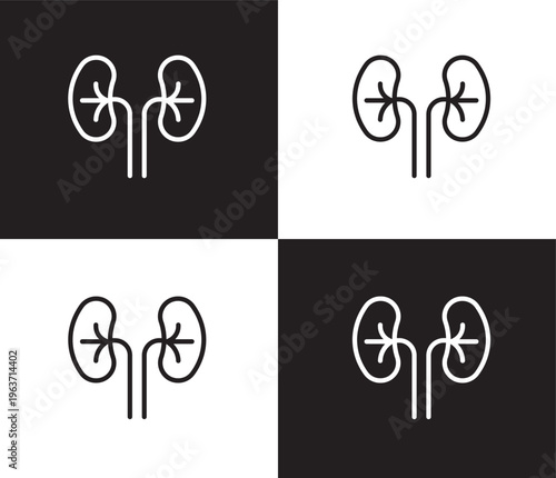 kidney icon. Outline and filled kidney icon from medical collection. Thin line and Solid vectors isolated on black, white background. Editable kidney symbol