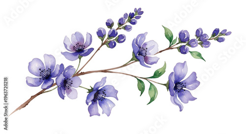 Purple flowers branch isolated on transparent background