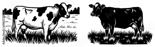 Two cows standing in a grassy pasture field in woodcut style