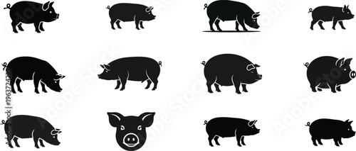 Pig silhouettes, black pig icons, swine illustrations, farm animal graphics, 12 pig pictures