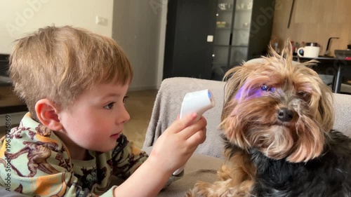 Child measuring dog’s temperature with electronic thermometer. Concept of pet care, childhood, empathy and playful home interaction with animals.