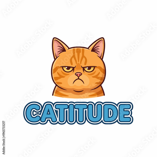 Angry orange cat face expression closeup.