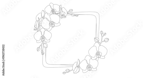Elegant floral frame with outline illustrations of orchids and delicate leaves, on an isolated white background.
