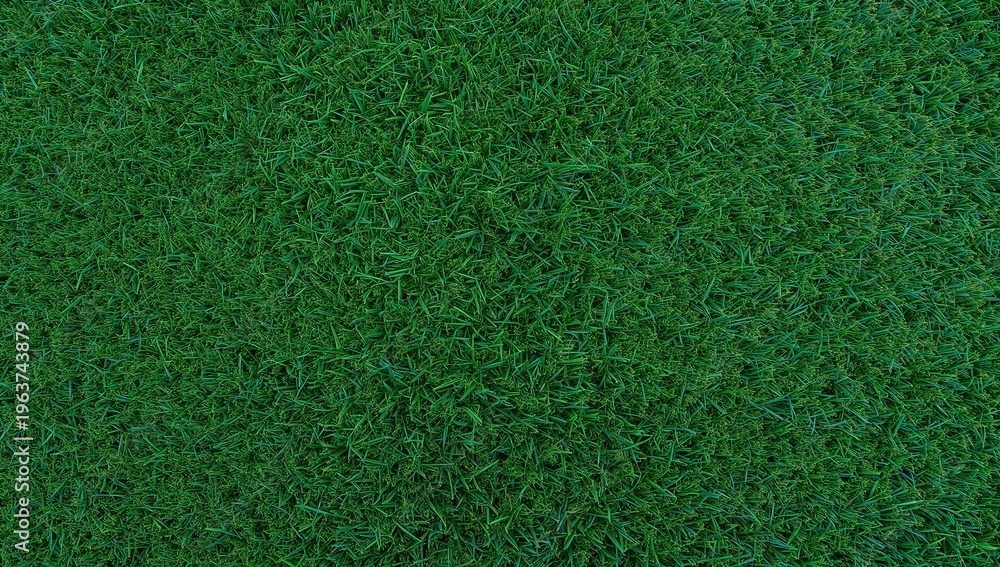Fototapeta premium Lush Green Fibrous Texture Close-up An Abstract Background Showcasing Detailed Threads and a Soft, Organic Surface Pattern for Design Elements