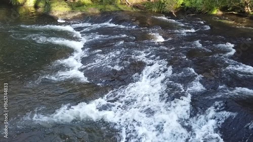 waterfall in the forest