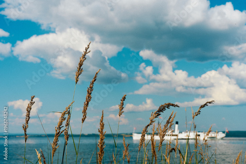 Foto A summer day by Lake Mjøsa.