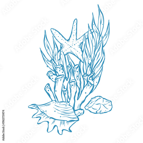 Vector illustration with a marine theme. Underwater world, seaside vacation in blue. Cute seaweeds and coral in doodle.