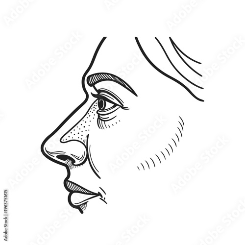  Detailed Human Nose Line Drawing.