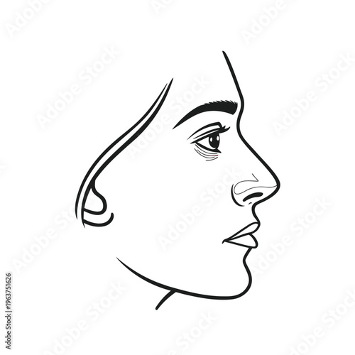  Human Nose Line Art Minimal Outline