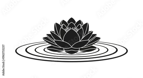 Black Lotus Flower Water Plant.