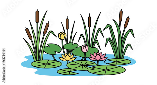 Colorful Water Lilies and Pond Plants.