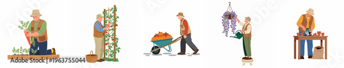 Set of illustrations depicting a senior man enjoying various gardening activities like harvesting vegetables, pruning tomatoes, watering flowers, and potting plants during retirement.