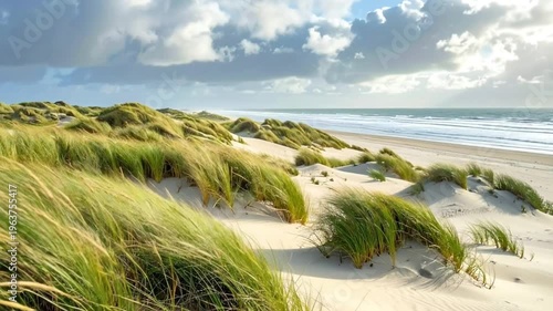 A tranquil beach scene featuring lush grass-covered sand dunes.