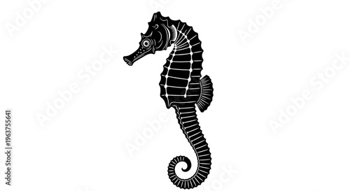 Black Seahorse Side View Illustration.