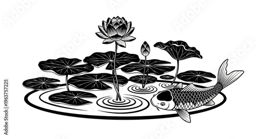 Black and white koi fish swimming.