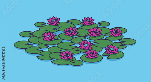 Pink lotus flowers on green lily pads.
