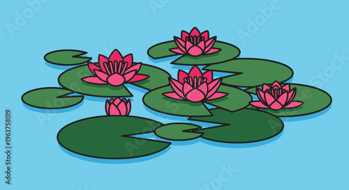 Pink lotus flowers on green lily pads.