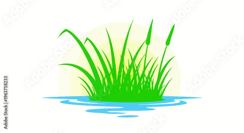 Green grass growing in water surface.