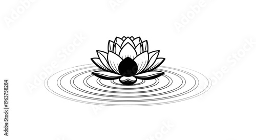 Black and white lotus flower bloom.