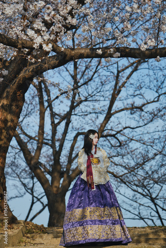 벚꽃 사이에서 한복을 입은 여성의 봄 감성 초상