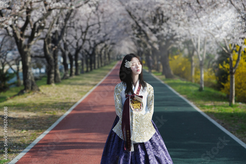 벚꽃 사이에서 한복을 입은 여성의 봄 감성 초상