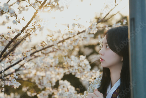 한복 입은 여성의 봄날 감성 야외 초상