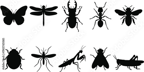 Vector illustration collection of ten isolated black insect silhouettes including butterfly, stag beetle, and praying mantis arranged on a transparent background for entomology and graphic design 