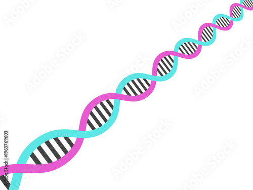 Photos DNA・二重螺旋構造