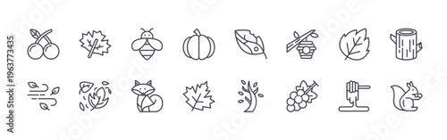collection of 16 minimal thin line autumn icons such as orange, wind, maple leaf, maple leaf, bee, fox, pumpkin, maple leaf, leaf. editable stroke vector illustration isolated on white